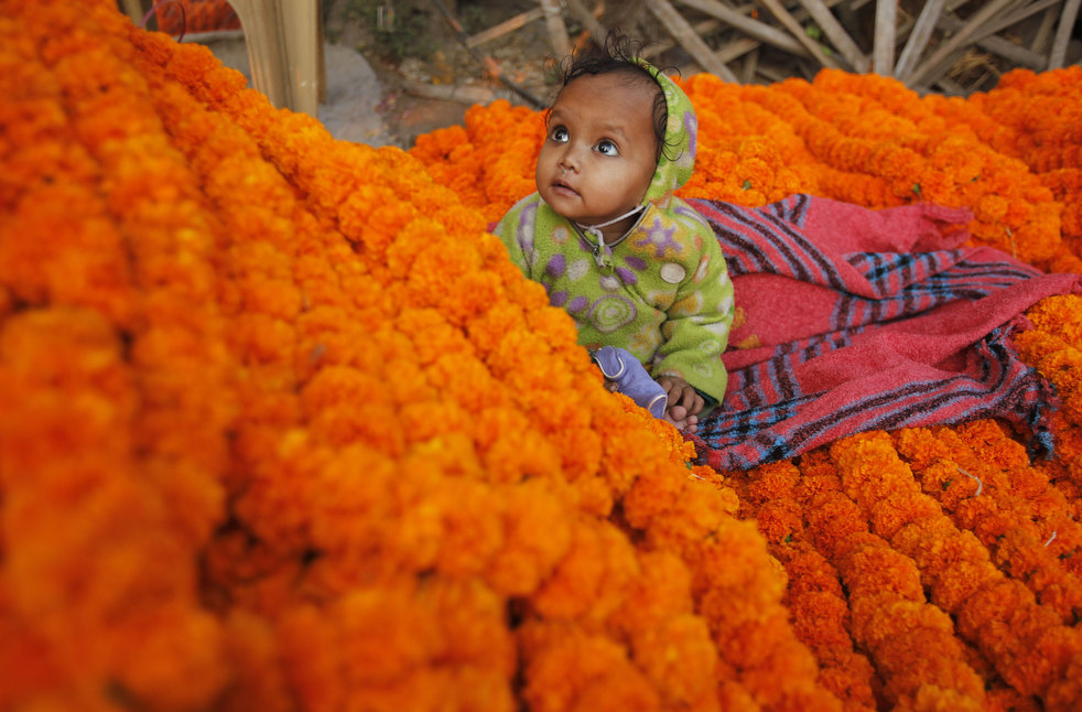 india_diwali_2012_23.jpg