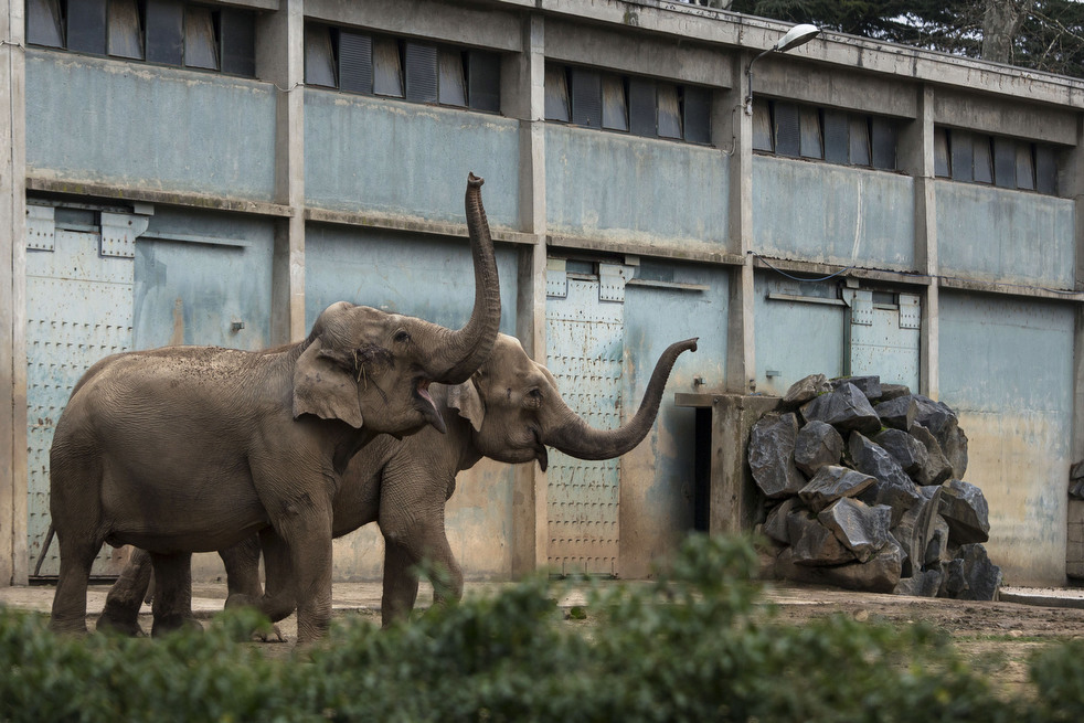020513_zoo_life_03.jpg