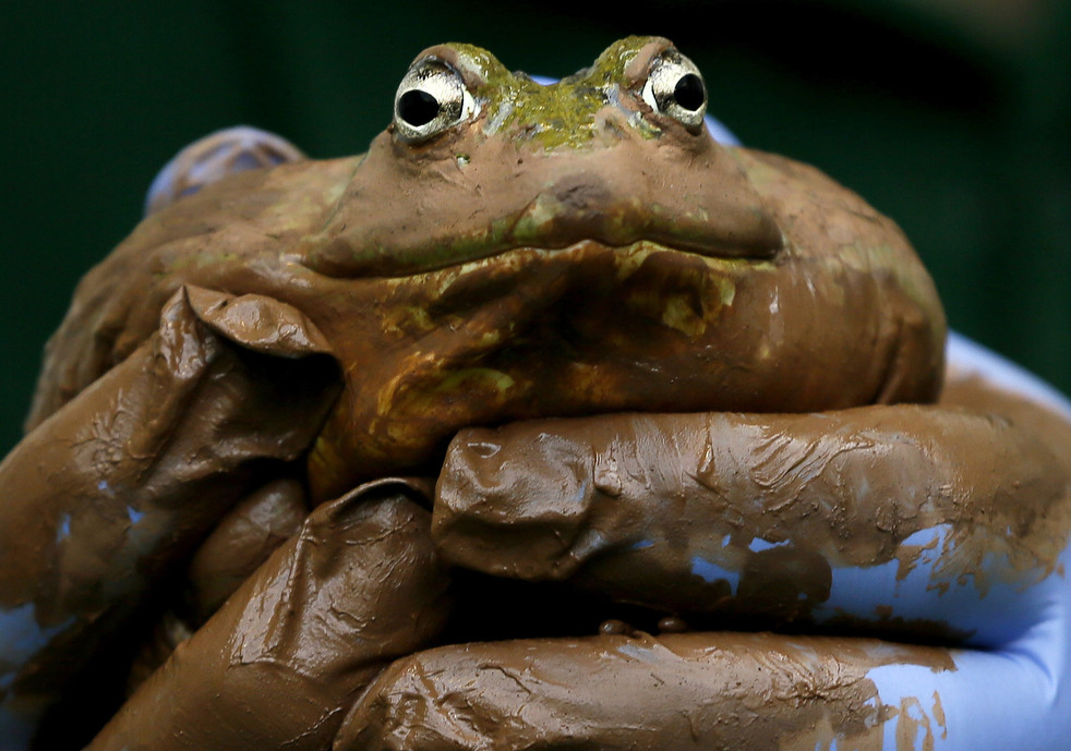 020513_zoo_life_04.jpg