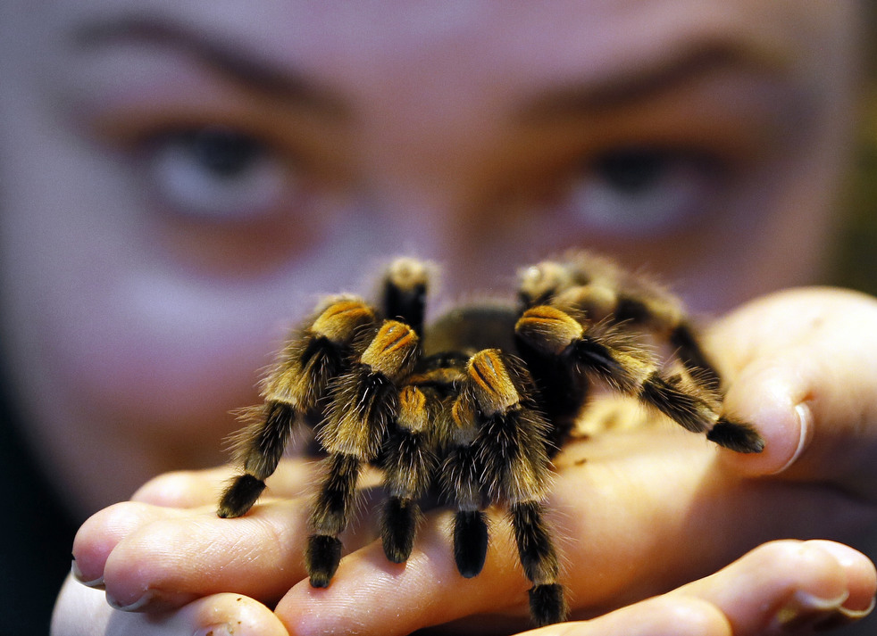 020513_zoo_life_05.jpg