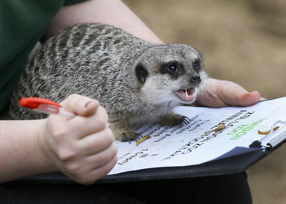 020513_zoo_life_06.jpg