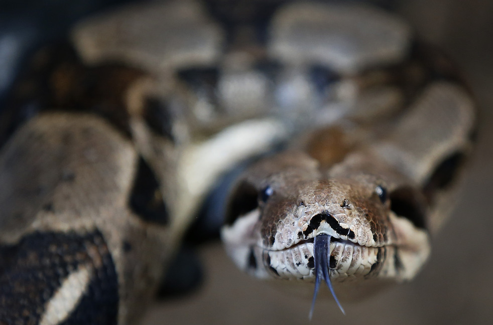 020513_zoo_life_09.jpg