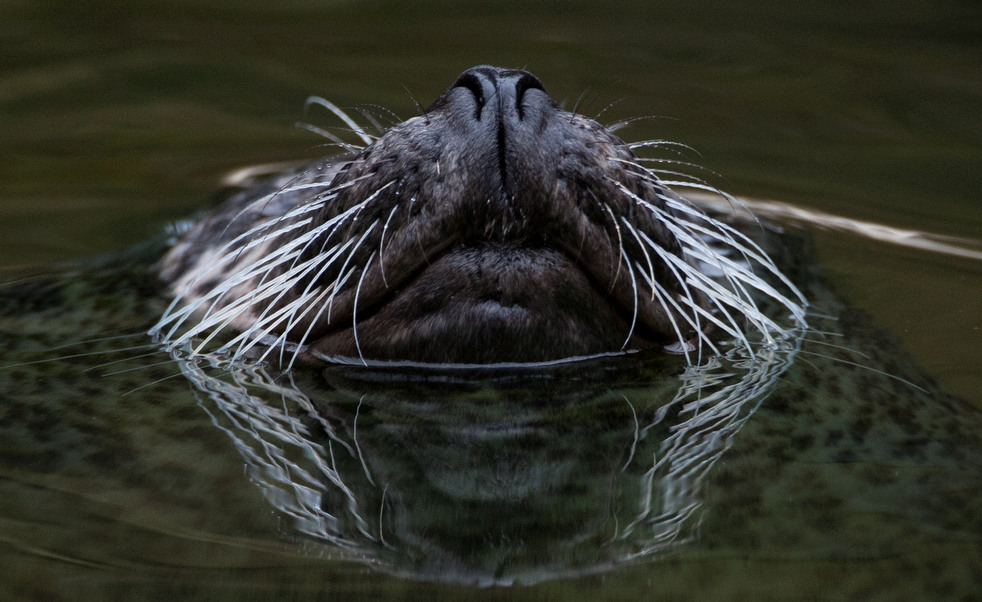 020513_zoo_life_10.jpg