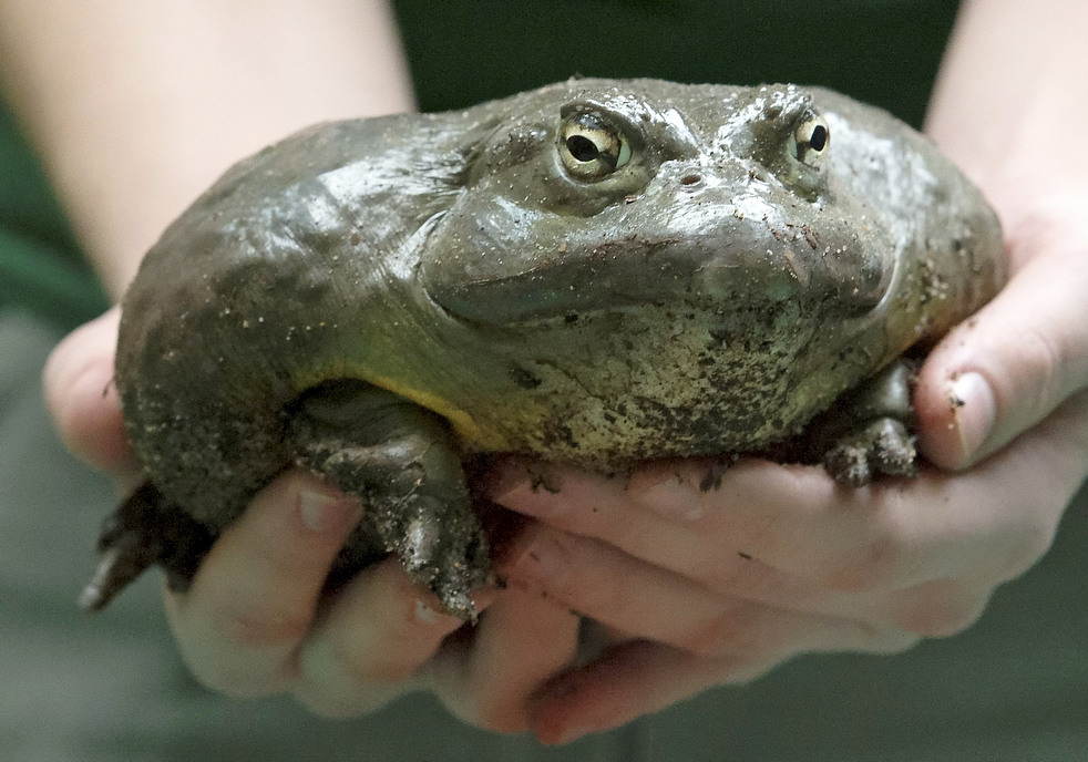 020513_zoo_life_11.jpg