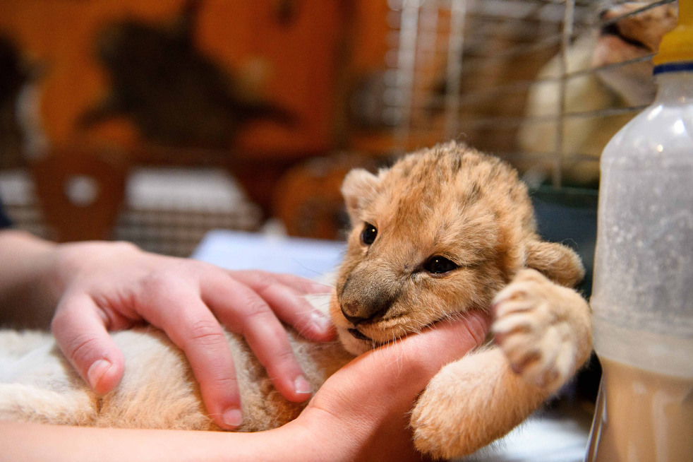020513_zoo_life_14.jpg
