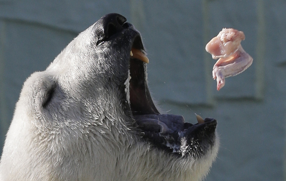 020513_zoo_life_16.jpg