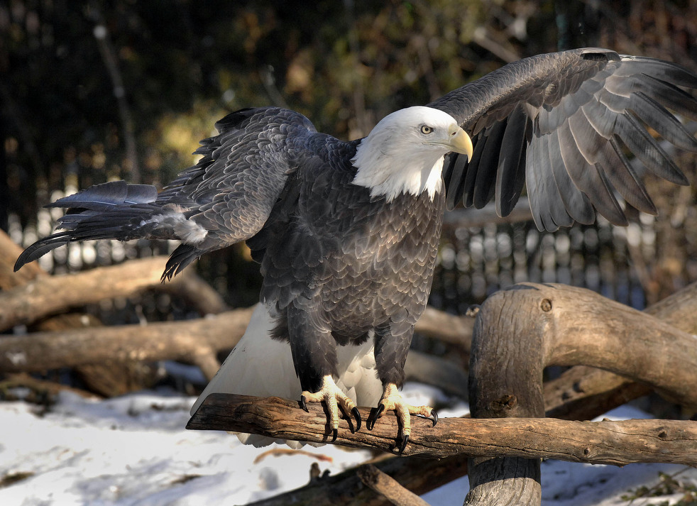 020513_zoo_life_19.jpg
