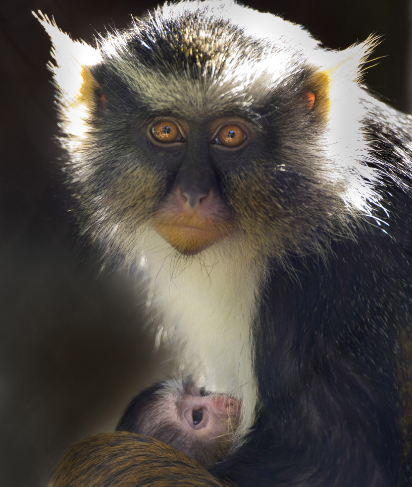 020513_zoo_life_20.jpg