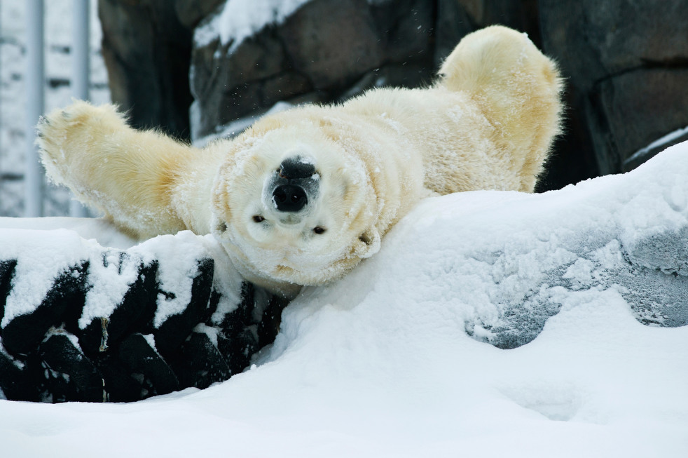 020513_zoo_life_22.jpg