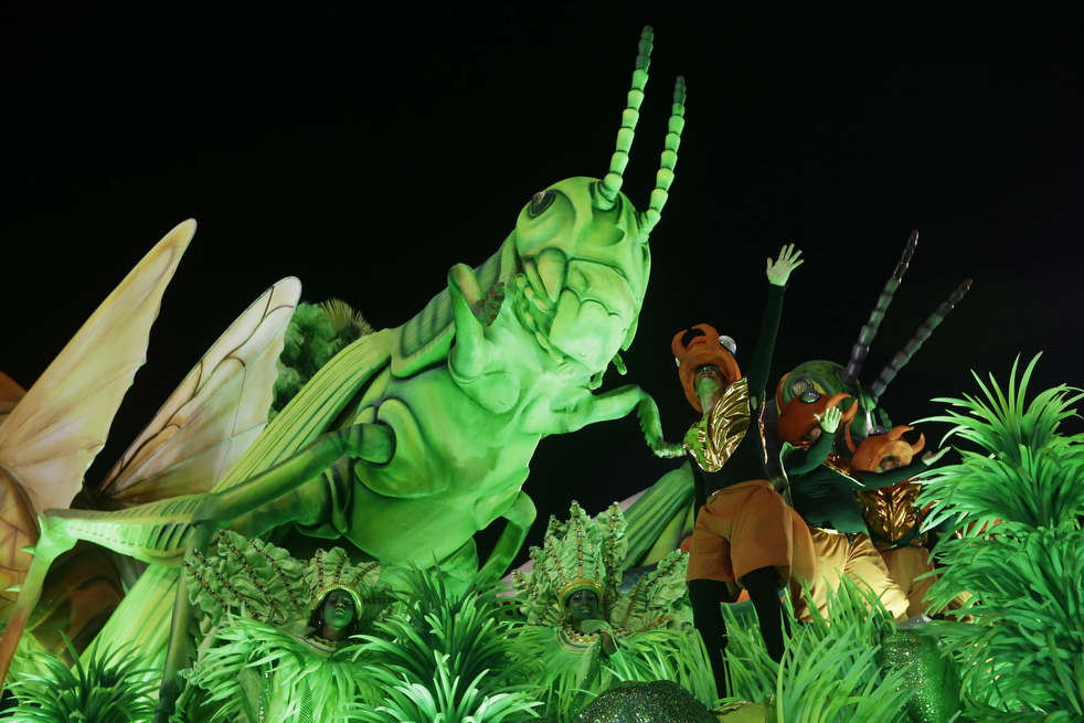 brazil_carnival_2013_142.jpg