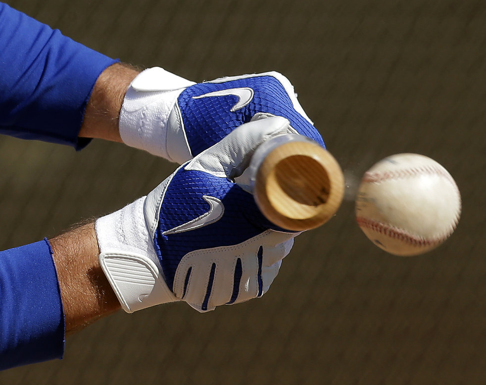 spring_training_2013_07.jpg