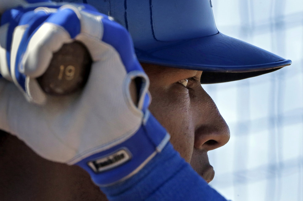 spring_training_2013_08.jpg