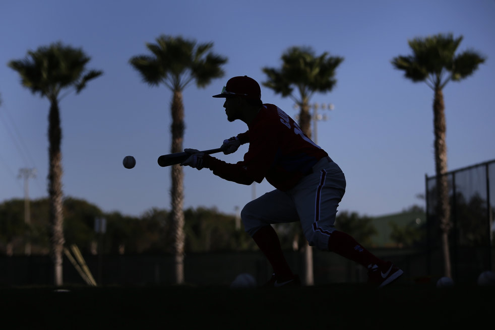 spring_training_2013_16.jpg