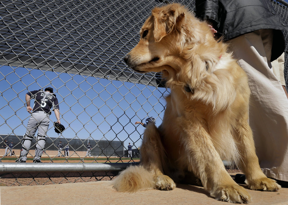spring_training_2013_25.jpg