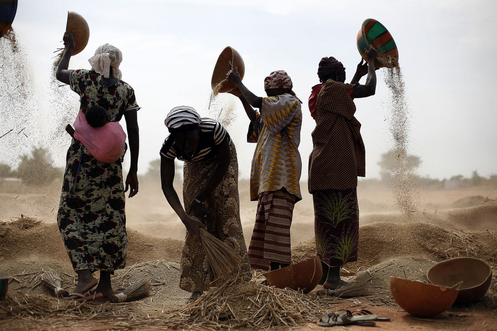 mali_fighting_07.jpg