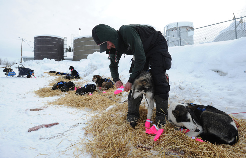 iditarod_2013_02.jpg