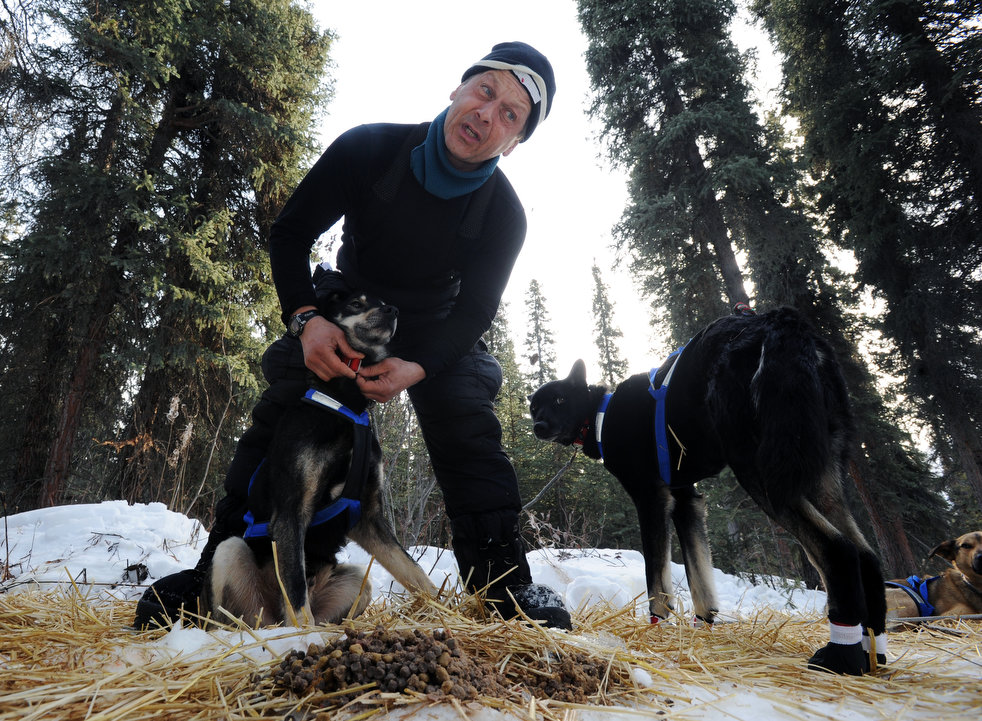 iditarod_2013_05.jpg