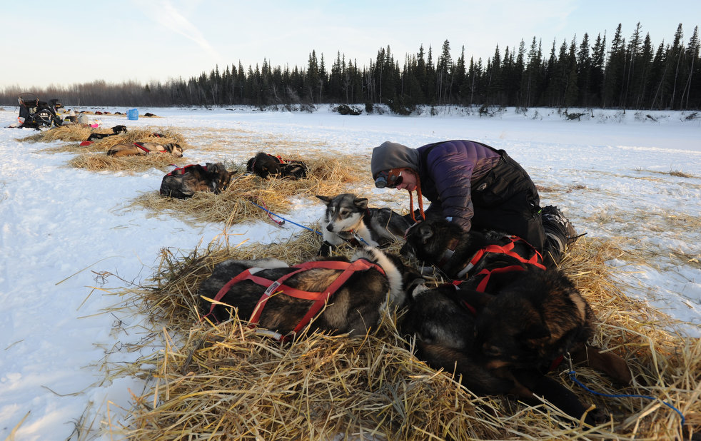 iditarod_2013_06.jpg