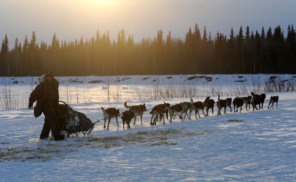 iditarod_2013_07.jpg
