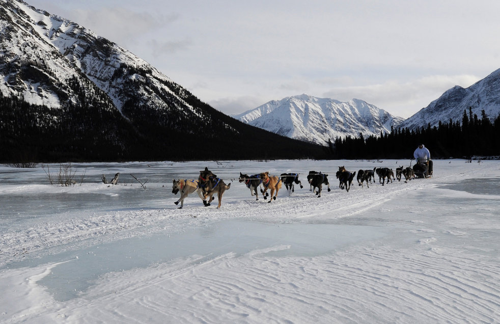 iditarod_2013_08.jpg