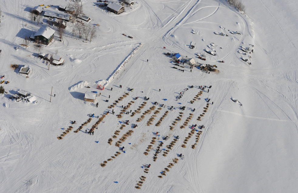 iditarod_2013_12.jpg
