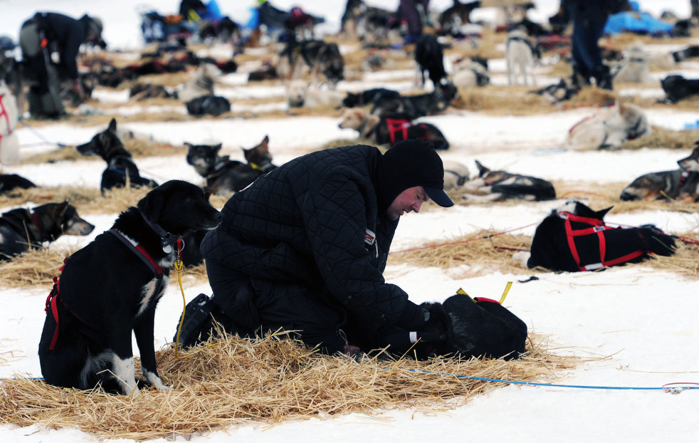 iditarod_2013_16.jpg