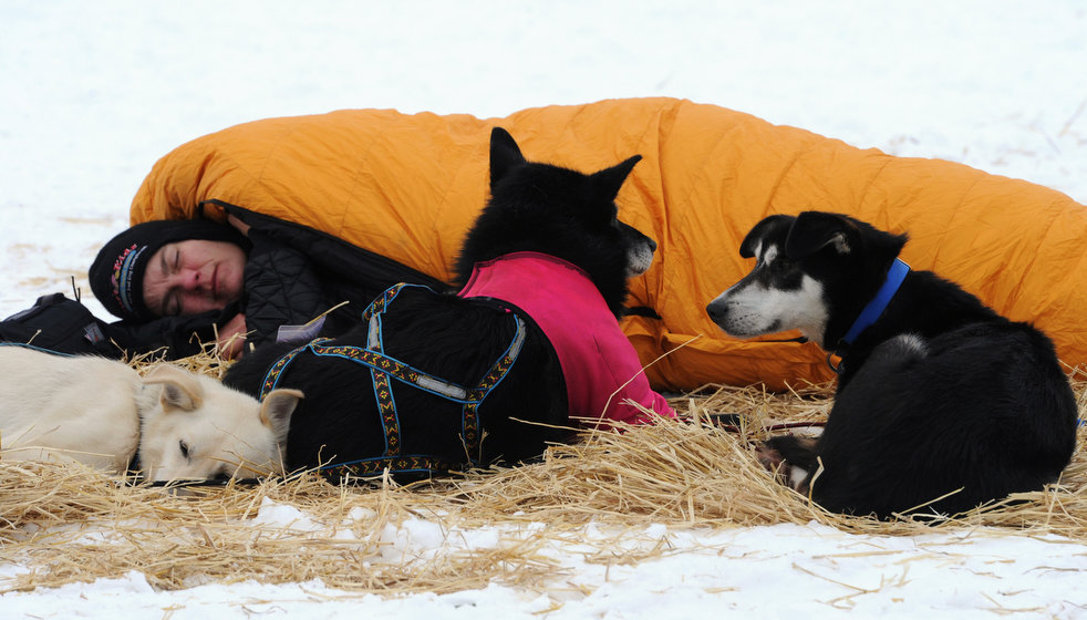 iditarod_2013_19.jpg