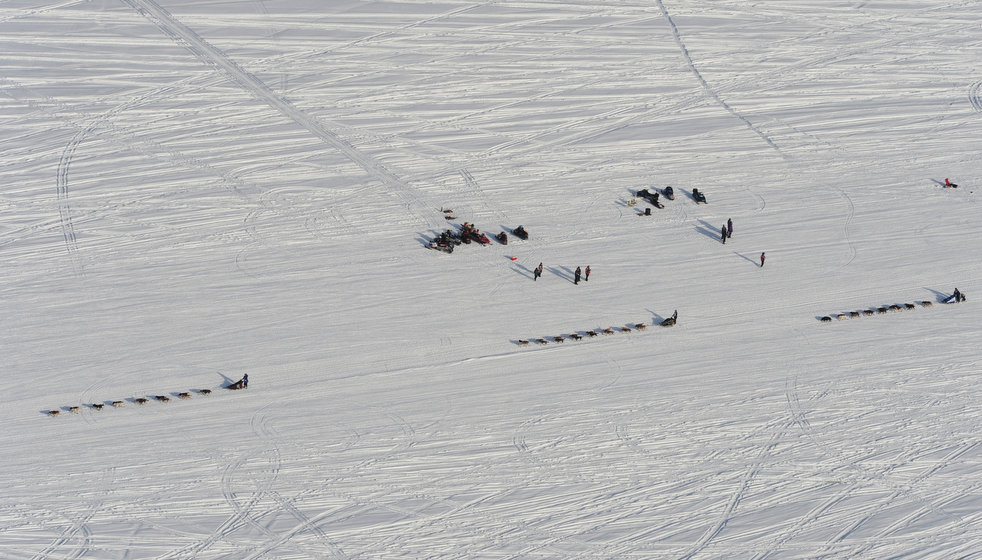 iditarod_2013_23.jpg