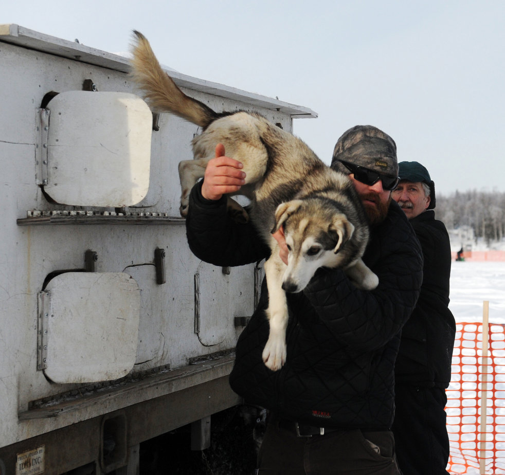 iditarod_2013_26.jpg