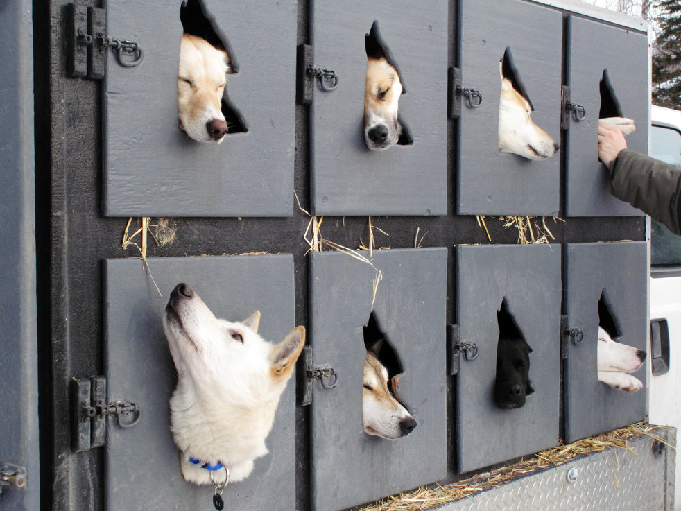 iditarod_2013_27.jpg