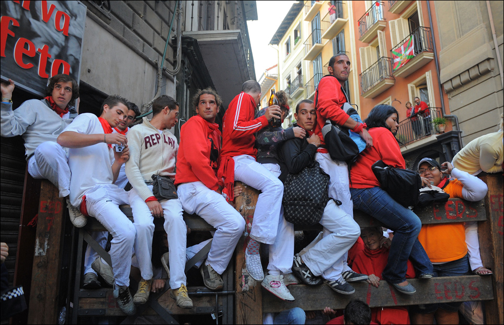 bulls02.jpg