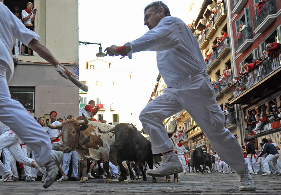 bulls04.jpg