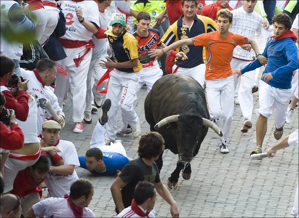bulls07.jpg