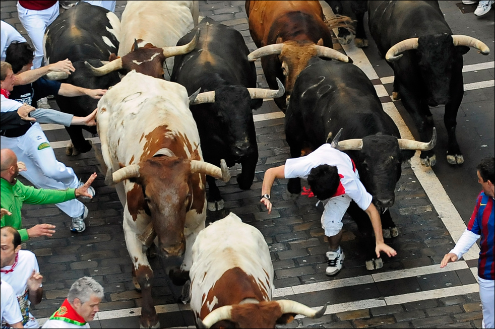 bulls11.jpg