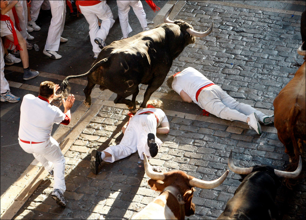 bulls13.jpg