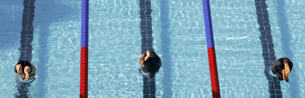 swim_art04.jpg