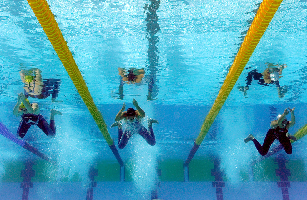 swim_art05.jpg
