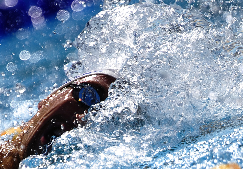 swim_art11.jpg