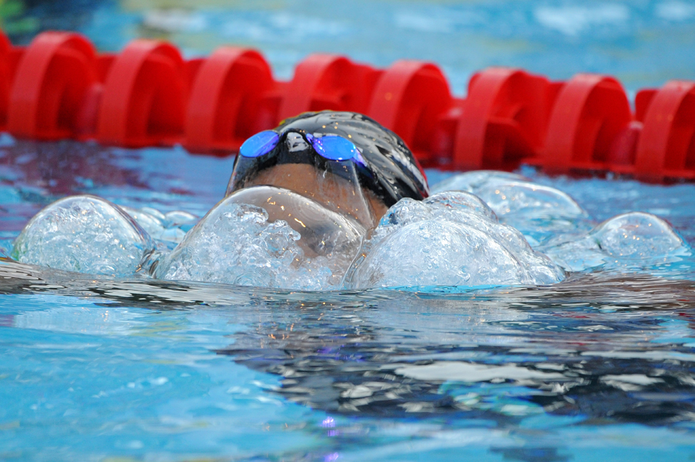 swim_art15.jpg