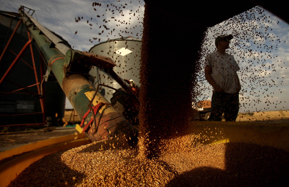 harvest01.jpg