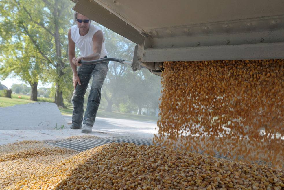 harvest02.jpg