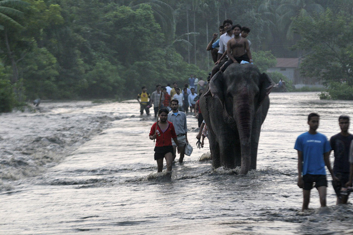 monsoon-06.jpg