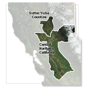 map_search.gif