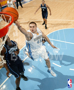 Kleiza.jpg
