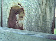 07828102833_jesus-fence2-185.jpg