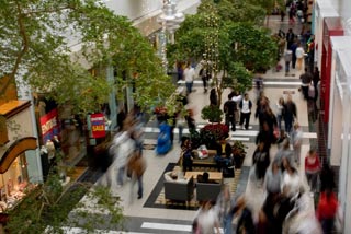 FL-SHOPPERS-GALORE.jpg
