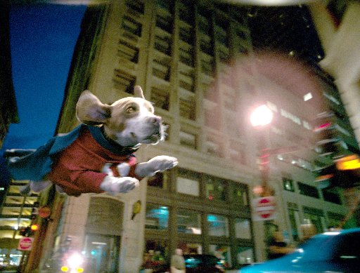 UNDERDOG.JPG