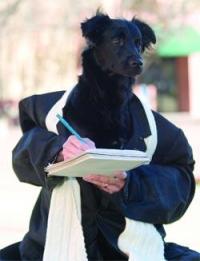 dogreporter.jpg
