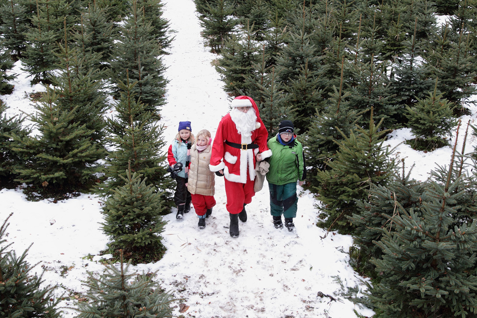 christmas_tree_05.jpg