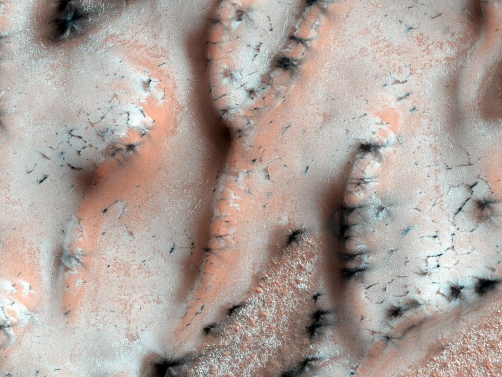 nasa23.jpg